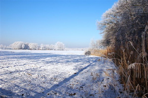 090109-wvdl-winter in HaDee  13 